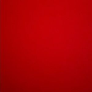 Meet your Posher, Diego